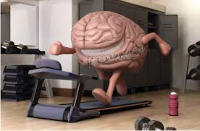 Beneficios cerebrales del ejercicio físico 