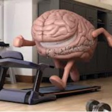 Beneficios cerebrales del ejercicio físico